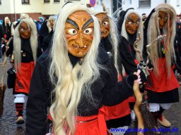 umzug_88_geburtstag_bilder_franz_gerstner_147_20170131_1336588561