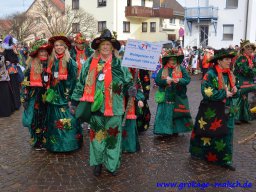 umzug_88_geburtstag_bilder_franz_gerstner_203_20170131_1904481422