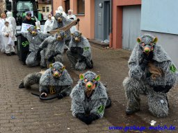umzug_88_geburtstag_bilder_franz_gerstner_305_20170131_1787025378