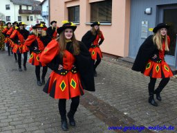 umzug_88_geburtstag_bilder_franz_gerstner_315_20170131_1731515937
