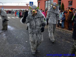 umzug_88_geburtstag_bilder_franz_gerstner_348_20170131_1326288349