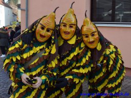 umzug_88_geburtstag_bilder_franz_gerstner_44_20170131_2023763371