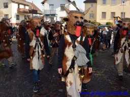 umzug_88_geburtstag_bilder_franz_gerstner_53_20170131_1974165556