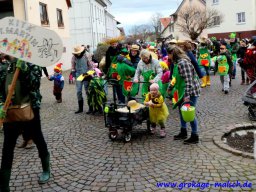 umzug_malsch_024