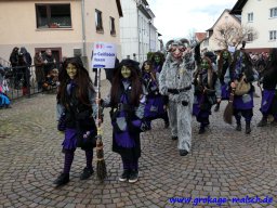 umzug_malsch_133