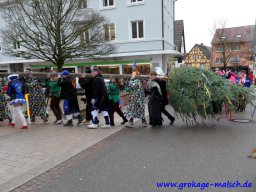 narrenbaum_stellen_03