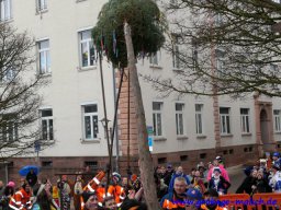 narrenbaum_stellen_07